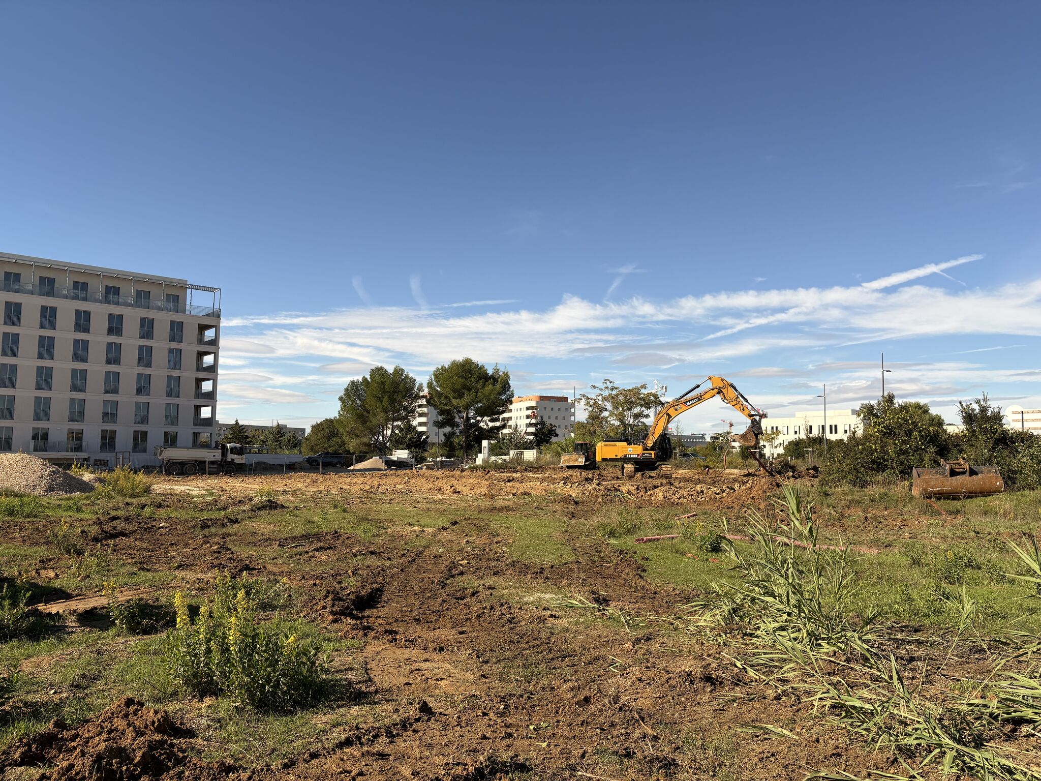 Démarrage des travaux de notre projet Movimento